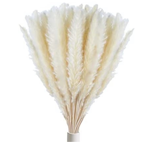 Pottery Barn Accents 5 Piece White Pampas Grass Poshmark